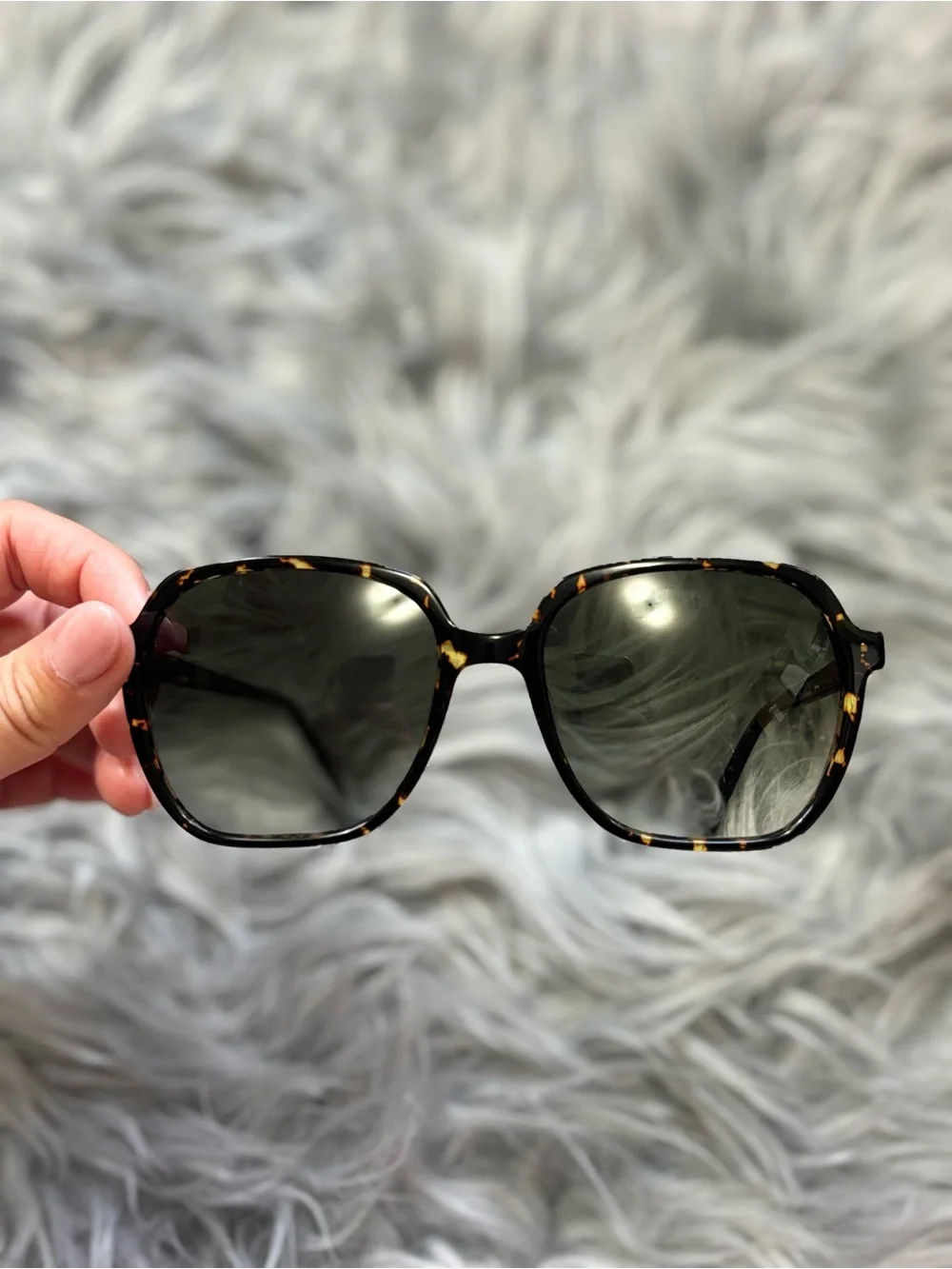Warby Parker Willetta Black/ Clear gradation Sunglasses
